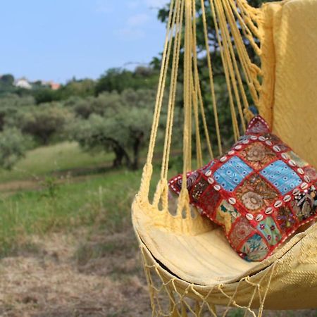 Villa Sarno Montesilvano Bagian luar foto