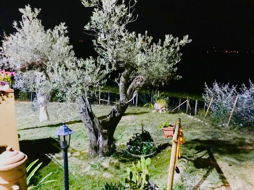 Villa Sarno Montesilvano Bagian luar foto
